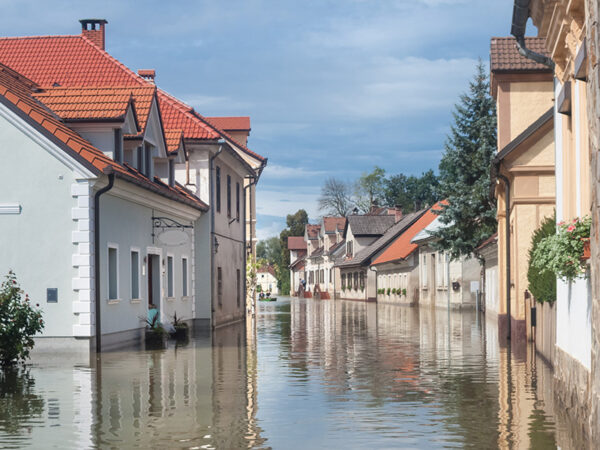 Flood Risk Mitigation Amethyst Surveys